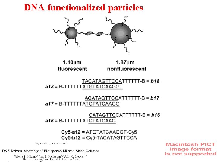 DNA functionalized particles 