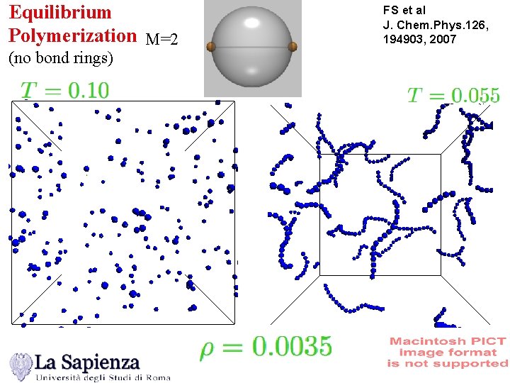 Equilibrium Polymerization M=2 (no bond rings) FS et al J. Chem. Phys. 126, 194903,