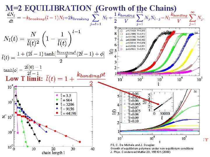 M=2 EQUILIBRATION (Growth of the Chains) Low T limit: FS, C. De Michele and