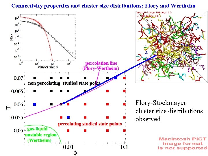 Connectivity properties and cluster size distributions: Flory and Wertheim Flory-Stockmayer cluster size distributions observed