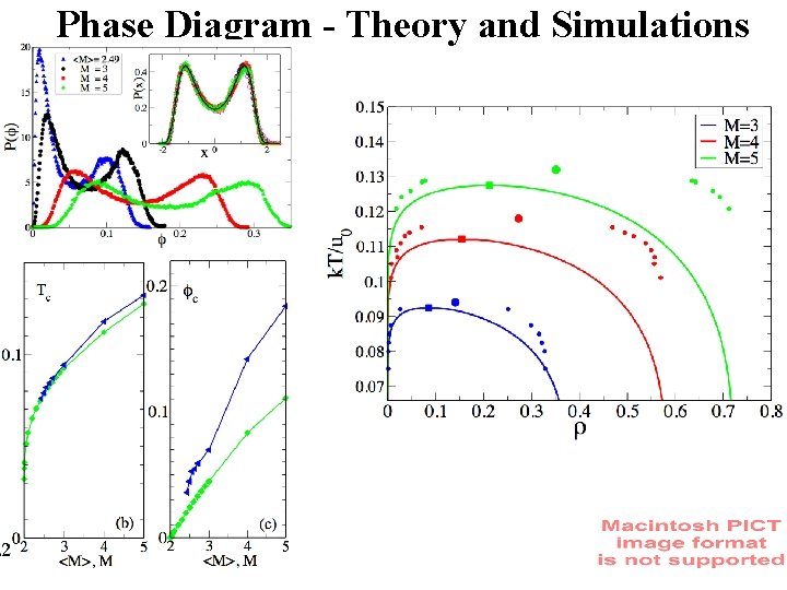 Phase Diagram - Theory and Simulations 