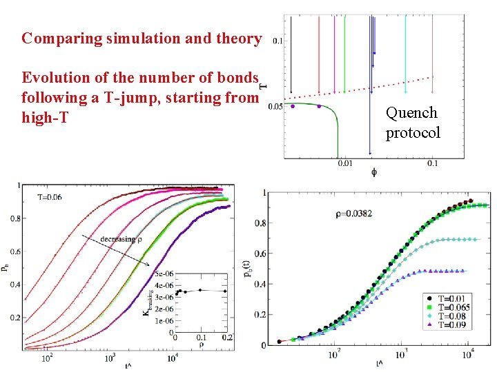 Comparing simulation and theory Evolution of the number of bonds following a T-jump, starting
