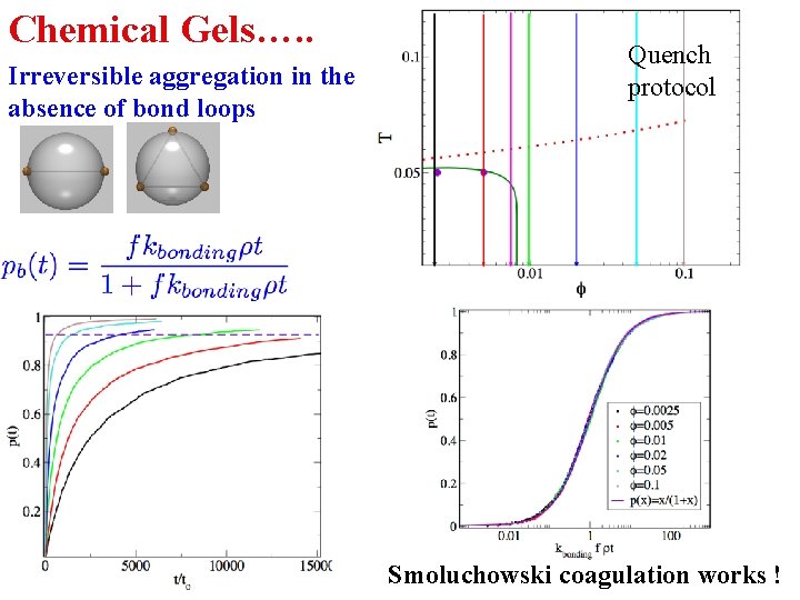 Chemical Gels…. . Irreversible aggregation in the absence of bond loops Quench protocol Smoluchowski