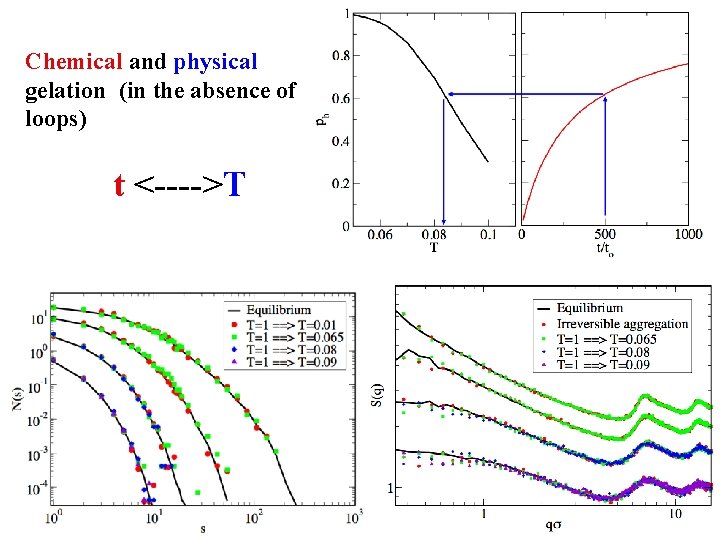 Chemical and physical gelation (in the absence of loops) t <---->T 