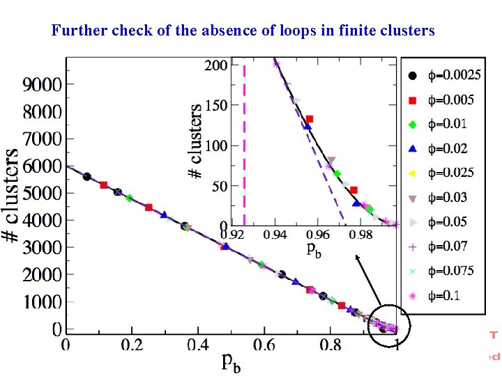 Further check of the absence of loops in finite clusters 