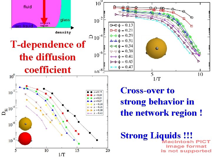 T-dependence of the diffusion coefficient Cross-over to strong behavior in the network region !