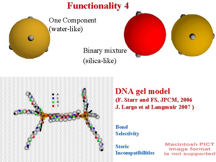 Functionality 4 One Component (water-like) Binary mixture (silica-like) DNA gel model (F. Starr and