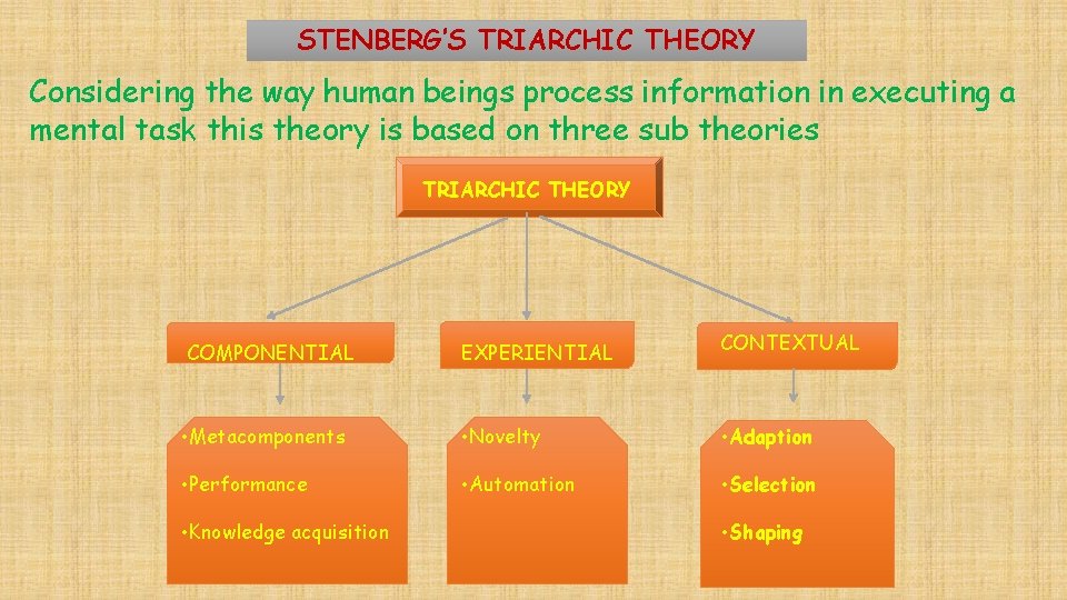 STENBERG’S TRIARCHIC THEORY Considering the way human beings process information in executing a mental