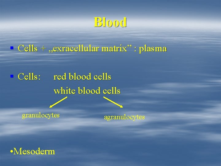 Blood § Cells + „exracellular matrix” : plasma § Cells: red blood cells white
