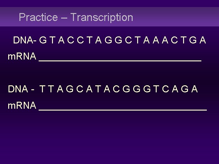 Practice – Transcription DNA- G T A C C T A G G C
