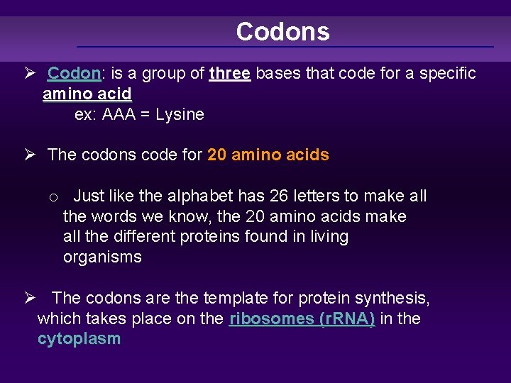 Codons Ø Codon: Codon is a group of three bases that code for a
