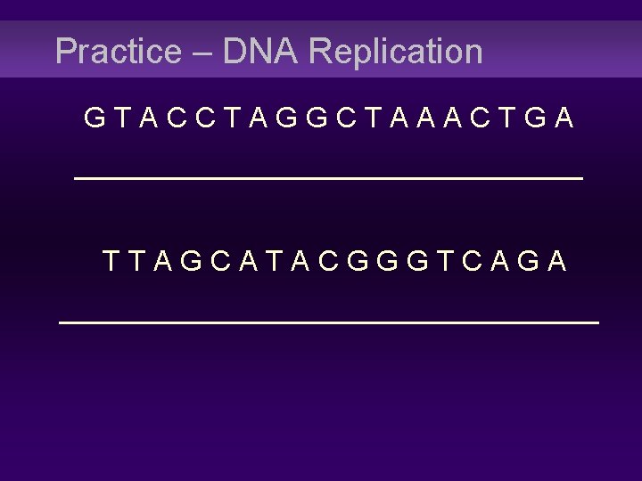 Practice – DNA Replication GTACCTAGGCTAAACTGA ________________ TTAGCATACGGGTCAGA _________________ 