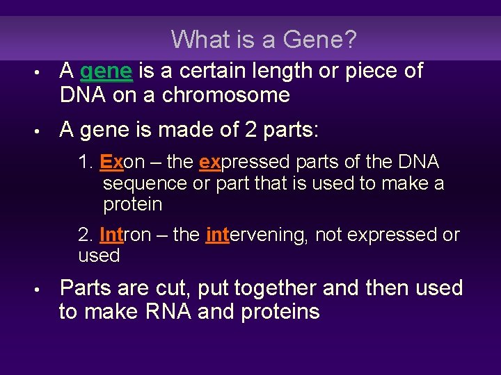 What is a Gene? • A gene is a certain length or piece of