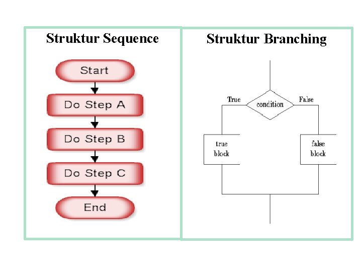 Struktur Sequence Struktur Branching 