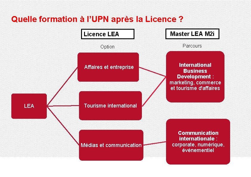 Quelle formation à l’UPN après la Licence ? Licence LEA Option Affaires et entreprise