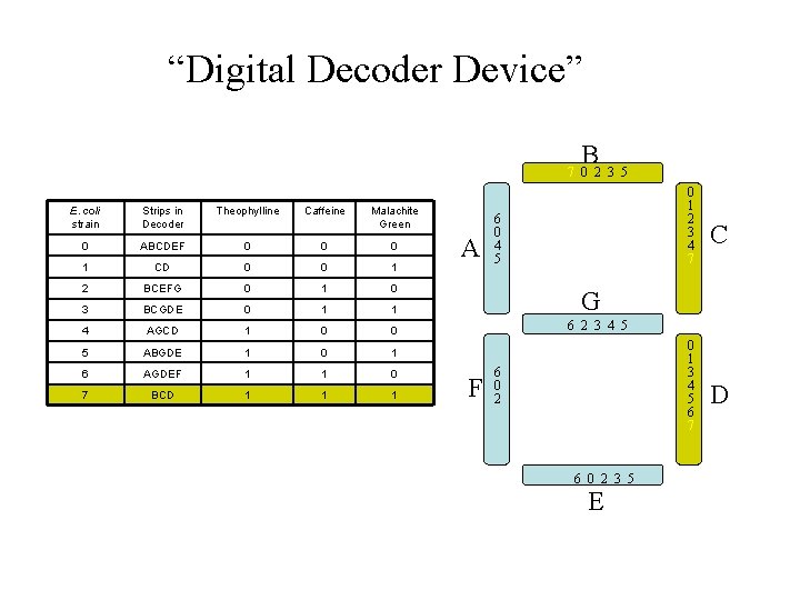 “Digital Decoder Device” B 7 0 2 3 5 E. coli strain Strips in