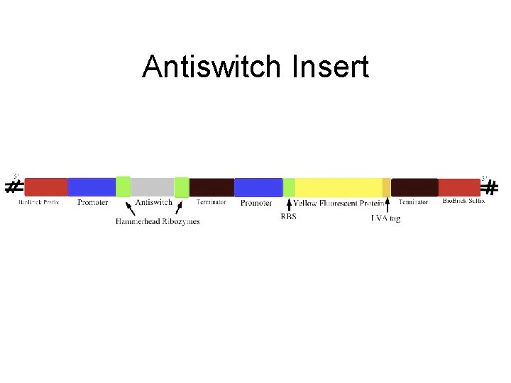 Antiswitch Insert 