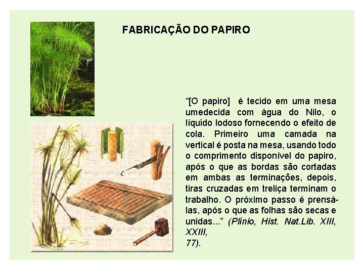 FABRICAÇÃO DO PAPIRO “[O papiro] é tecido em uma mesa umedecida com água do