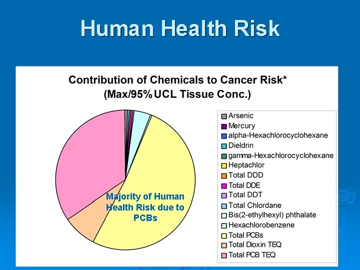 Human Health Risk Majority of Human Health Risk due to Majority PCBsof Human Health