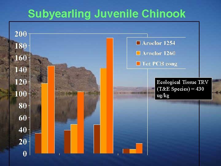 Subyearling Juvenile Chinook Ecological Tissue TRV (T&E Species) = 430 ug/kg 