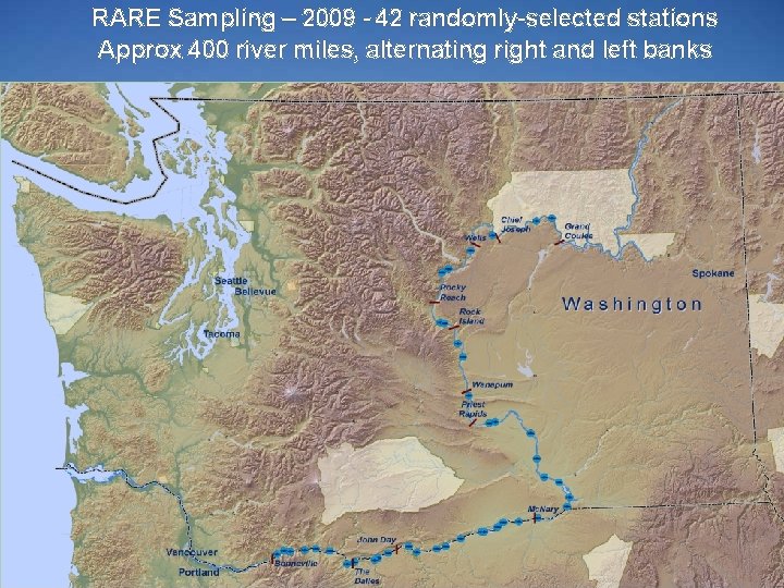 RARE Sampling – 2009 - 42 randomly-selected stations Approx 400 river miles, alternating right