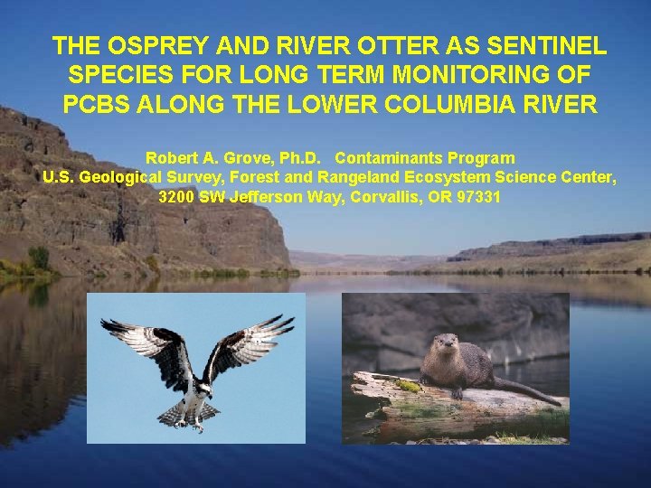 THE OSPREY AND RIVER OTTER AS SENTINEL SPECIES FOR LONG TERM MONITORING OF PCBS