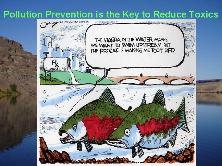 Pollution Prevention is the Key to Reduce Toxics 