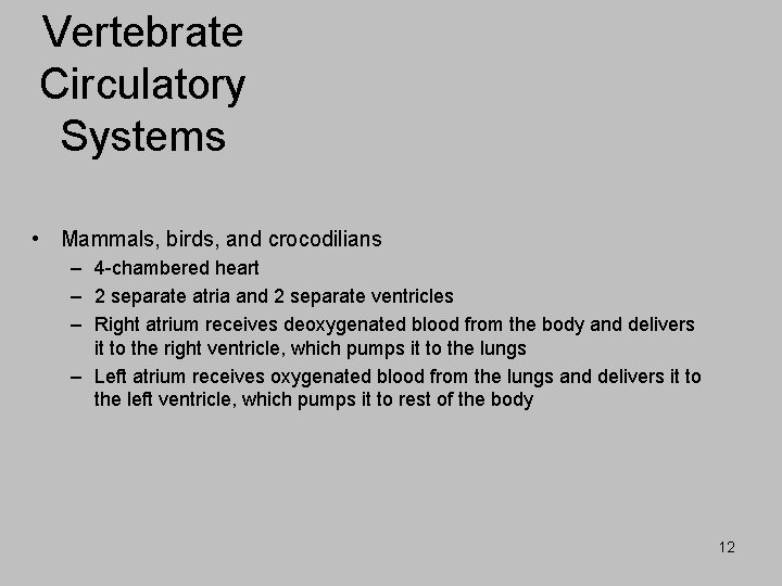 Vertebrate Circulatory Systems • Mammals, birds, and crocodilians – 4 -chambered heart – 2