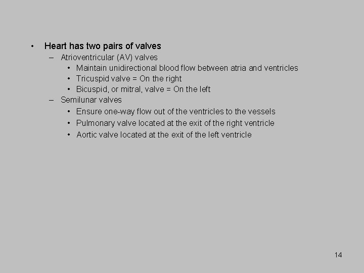  • Heart has two pairs of valves – Atrioventricular (AV) valves • Maintain