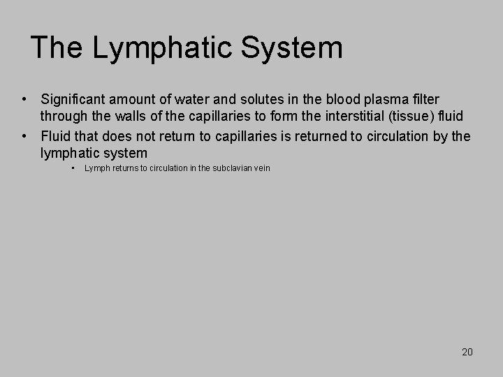 The Lymphatic System • Significant amount of water and solutes in the blood plasma