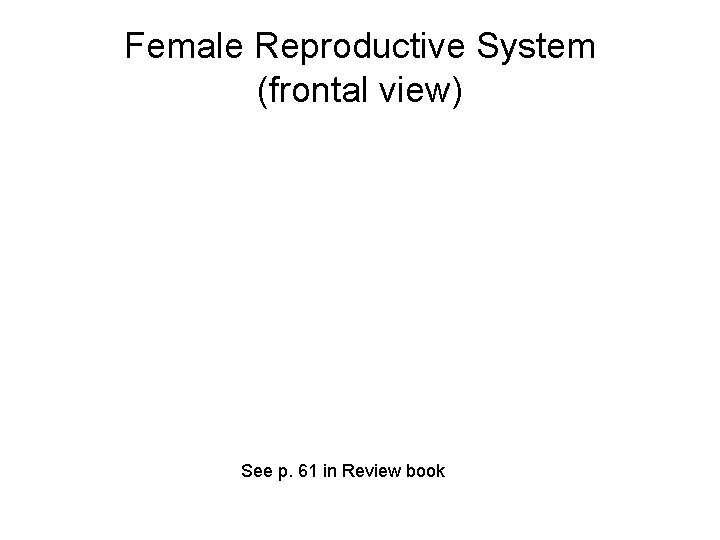 Female Reproductive System (frontal view) See p. 61 in Review book 