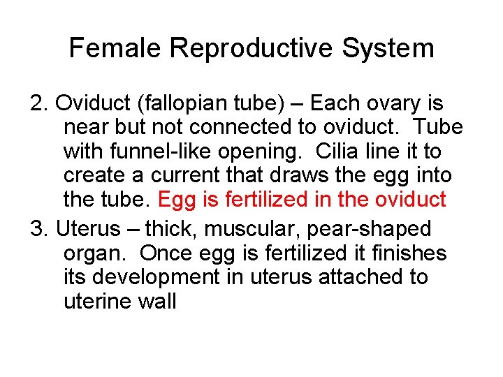 Female Reproductive System 2. Oviduct (fallopian tube) – Each ovary is near but not