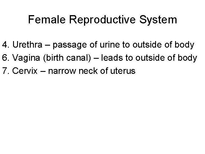 Female Reproductive System 4. Urethra – passage of urine to outside of body 6.