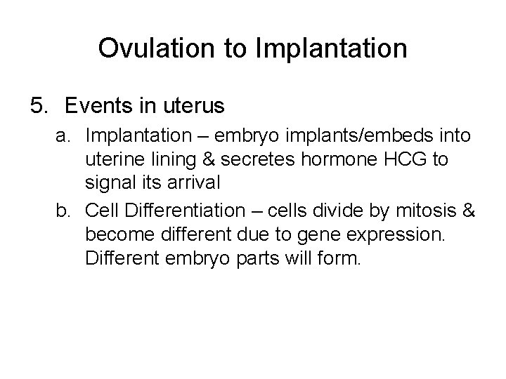 Ovulation to Implantation 5. Events in uterus a. Implantation – embryo implants/embeds into uterine
