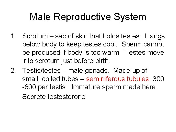 Male Reproductive System 1. Scrotum – sac of skin that holds testes. Hangs below