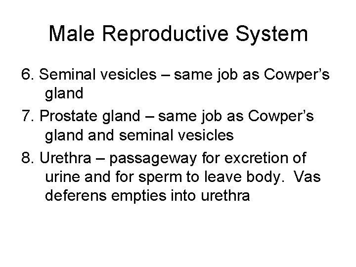 Human Reproductive Male Reproductive System urinary bladder seminal