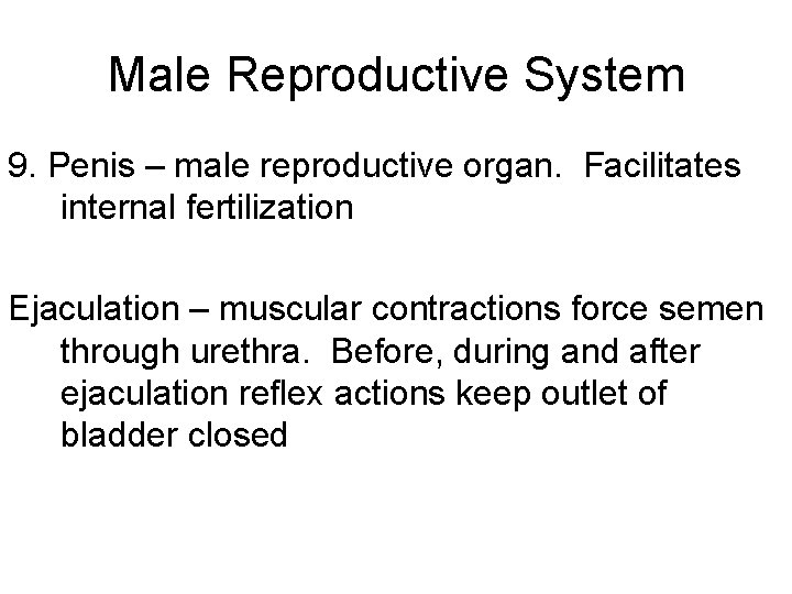 Male Reproductive System 9. Penis – male reproductive organ. Facilitates internal fertilization Ejaculation –