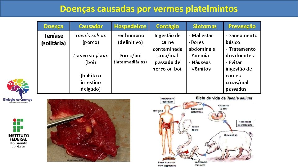 Doenças causadas por vermes platelmintos Doença Causador Hospedeiros Contágio Teníase (solitária) Taenia solium (porco)