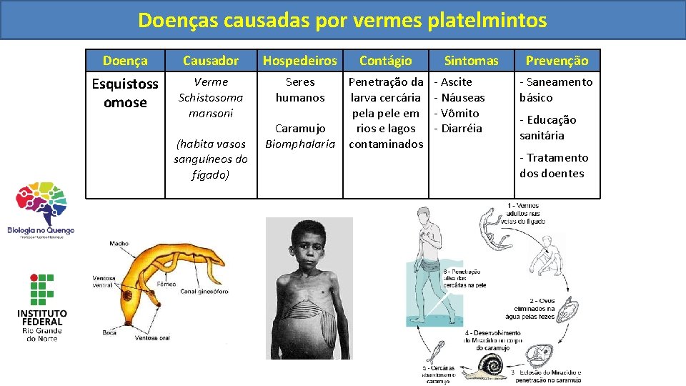 Helmintoses Biologia Helmintoses Doenas causadas por vermes platelmintos