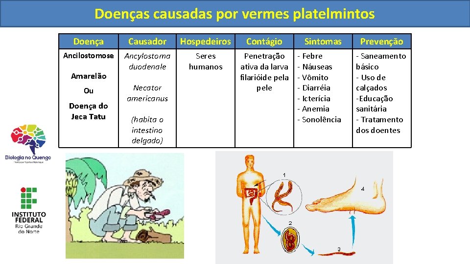 Doençascausadaspor porvermesnematelmintos platelmintos Doença Causador Hospedeiros Contágio Ancilostomose Ancylostoma duodenale Seres humanos Penetração ativa