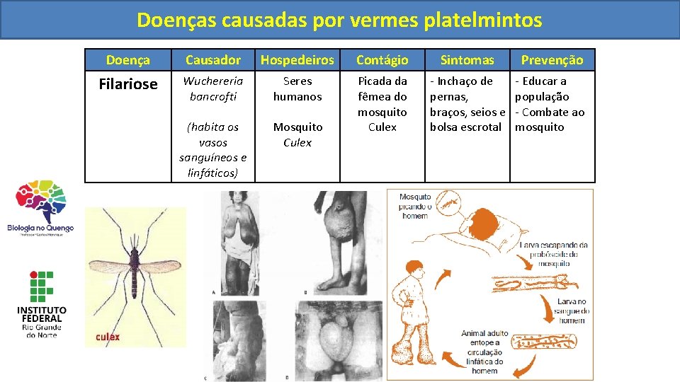 Doençascausadaspor porvermesnematelmintos platelmintos Doença Causador Hospedeiros Contágio Sintomas Prevenção Filariose Wuchereria bancrofti Seres humanos