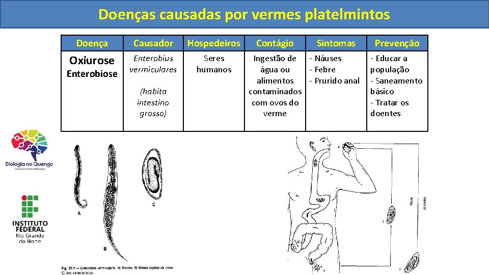 Doençascausadaspor porvermesnematelmintos platelmintos Doença Causador Hospedeiros Oxiurose Enterobius vermiculares Seres humanos Enterobiose (habita intestino