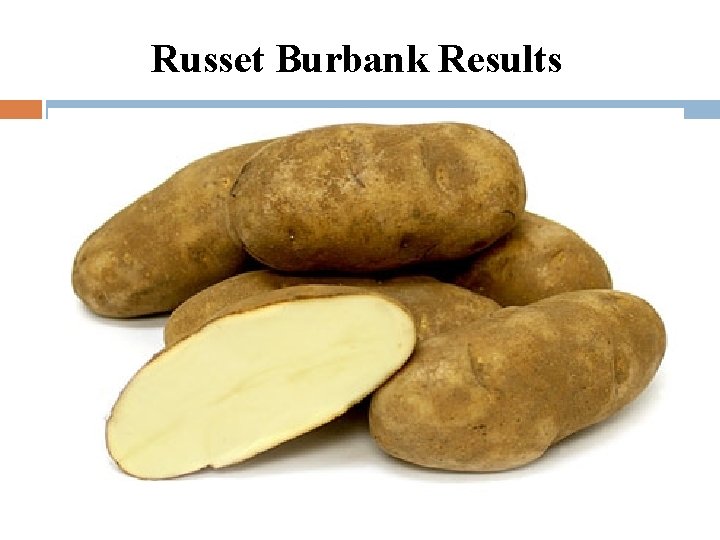Russet Burbank Results 