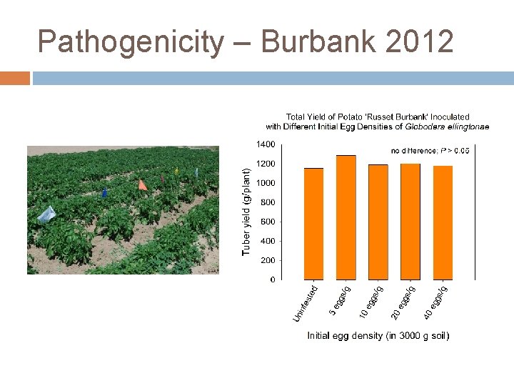 Pathogenicity – Burbank 2012 