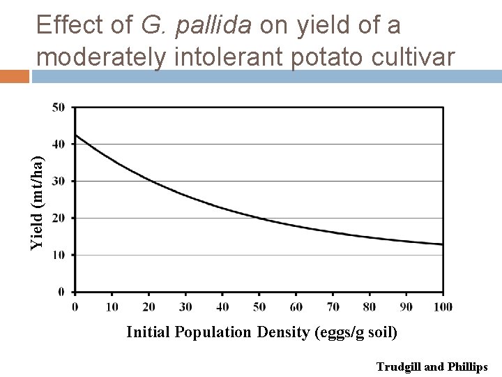 Yield (mt/ha) Effect of G. pallida on yield of a moderately intolerant potato cultivar