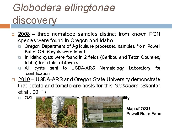 Globodera ellingtonae discovery q 2008 – three nematode samples distinct from known PCN species