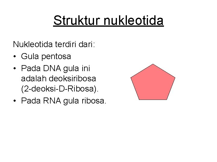 Struktur nukleotida Nukleotida terdiri dari: • Gula pentosa • Pada DNA gula ini adalah
