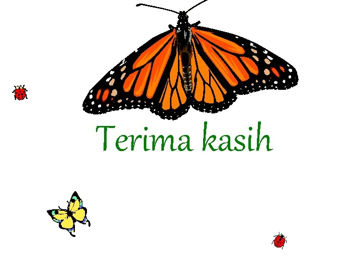 Terima kasih 