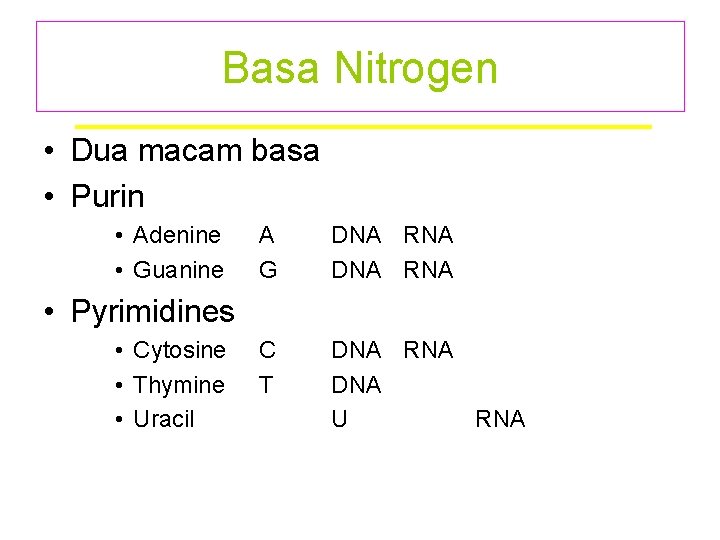 Basa Nitrogen • Dua macam basa • Purin • Adenine • Guanine A G