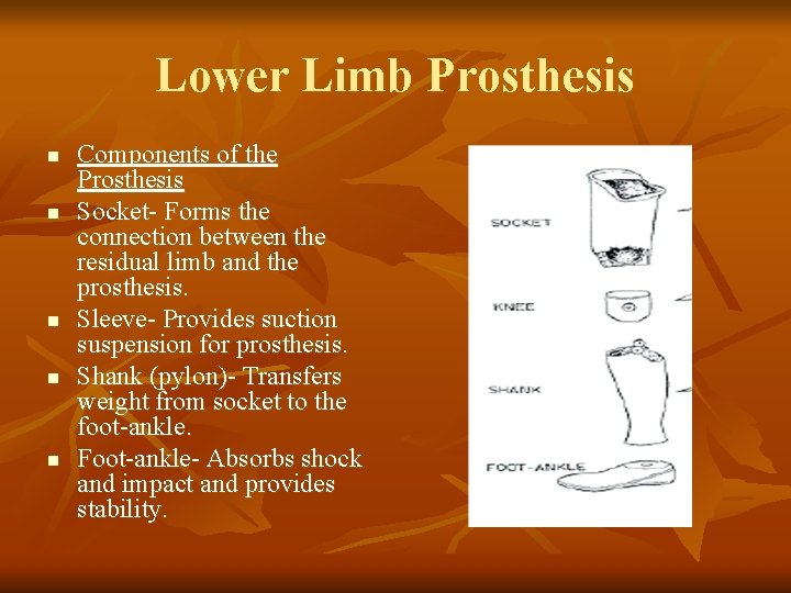 Lower Limb Prosthesis n n n Components of the Prosthesis Socket- Forms the connection